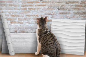 What's Next For Your Wall?
